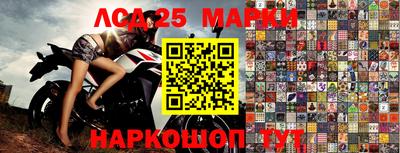 метамфетамин Камышлов