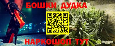 амф Кандалакша
