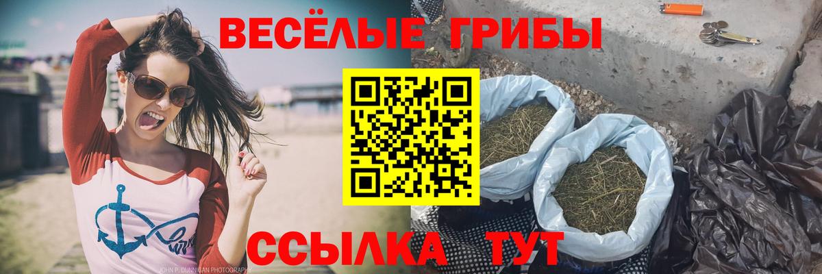 Североморск  Псилоцибиновые грибы прущие грибы  Вход с VPN  Псилоцибиновые грибы мицелий 
