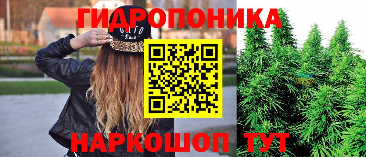 Бошки марихуана Amnesia  Вход с VPN  Североморск  Шишки марихуана марихуана 